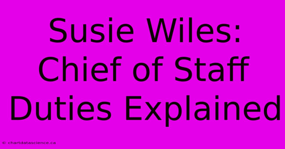 Susie Wiles: Chief Of Staff Duties Explained