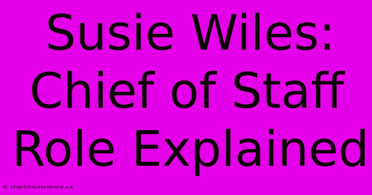 Susie Wiles: Chief Of Staff Role Explained