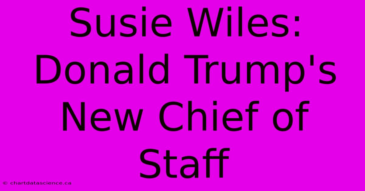 Susie Wiles: Donald Trump's New Chief Of Staff 