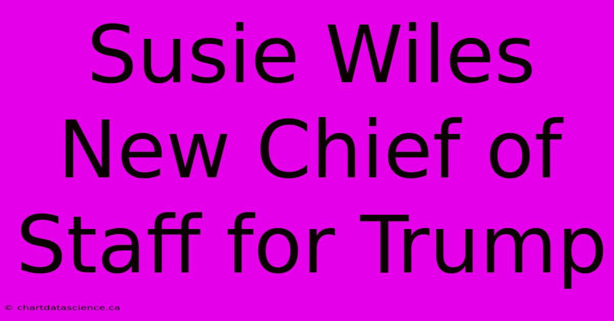 Susie Wiles New Chief Of Staff For Trump