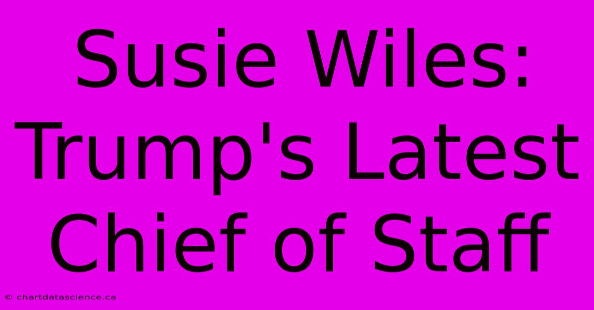 Susie Wiles: Trump's Latest Chief Of Staff