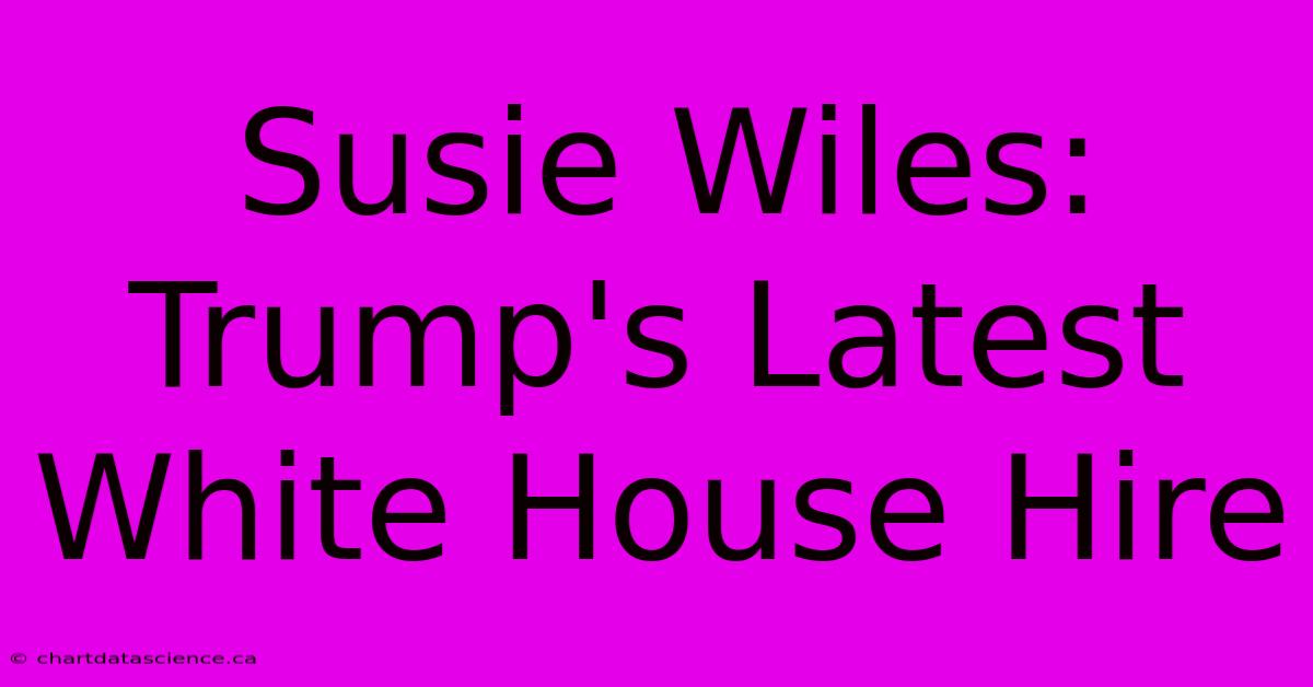 Susie Wiles: Trump's Latest White House Hire