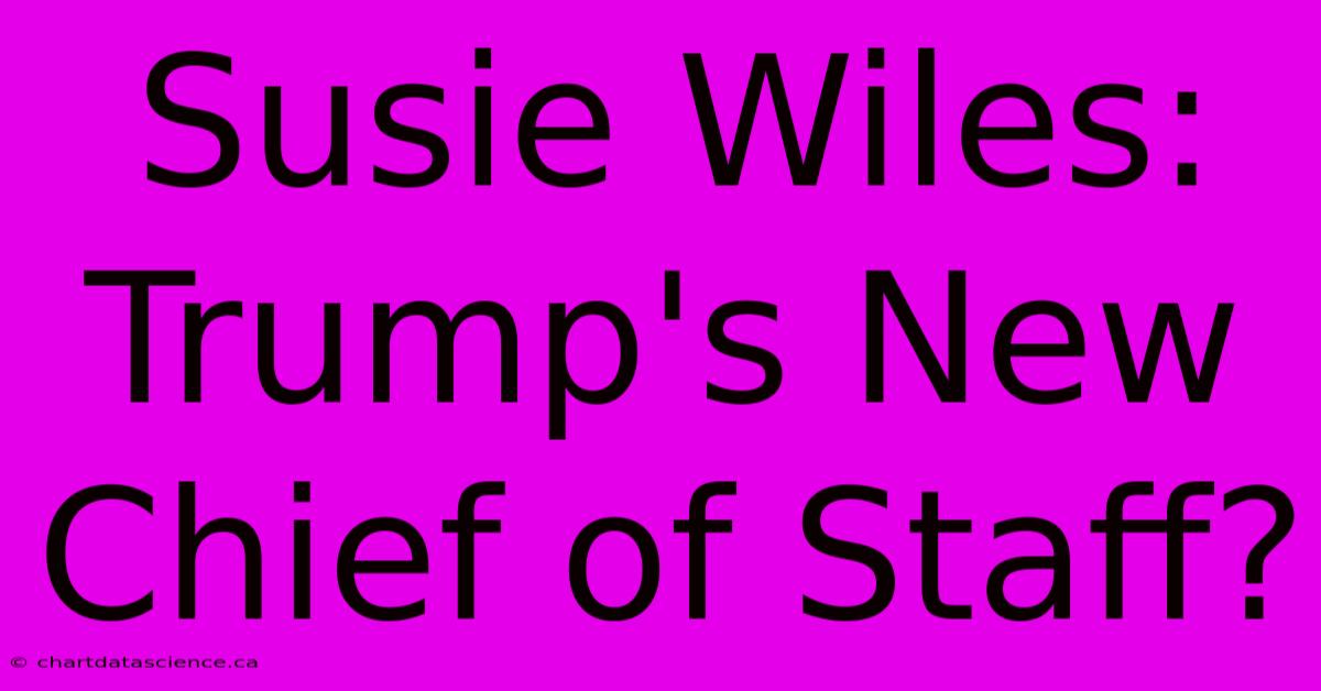 Susie Wiles: Trump's New Chief Of Staff