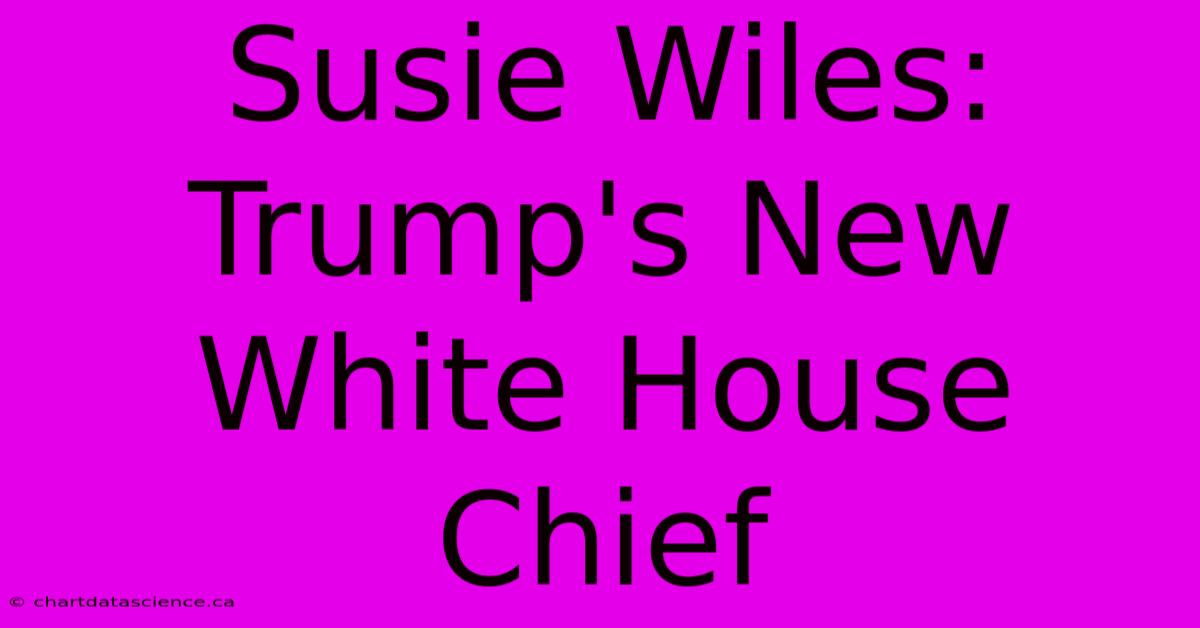 Susie Wiles: Trump's New White House Chief