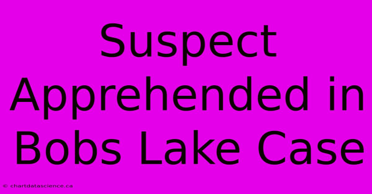 Suspect Apprehended In Bobs Lake Case