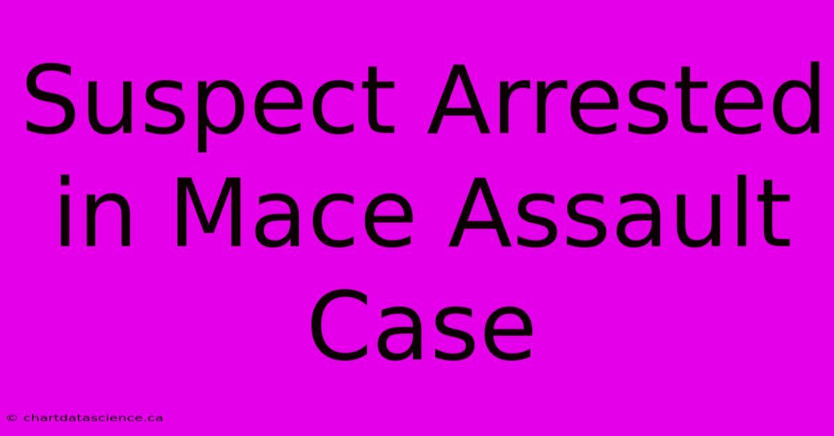 Suspect Arrested In Mace Assault Case