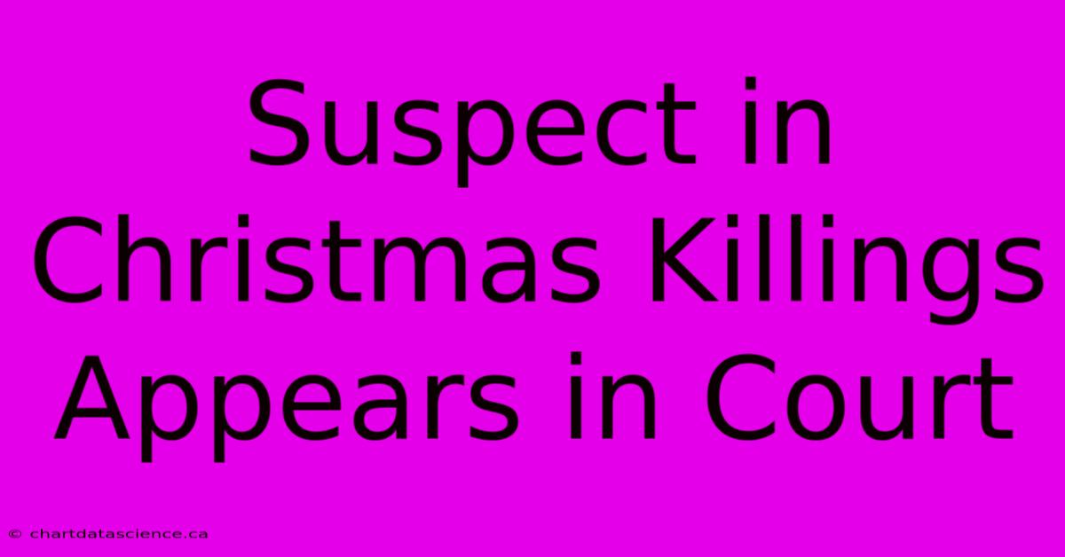 Suspect In Christmas Killings Appears In Court