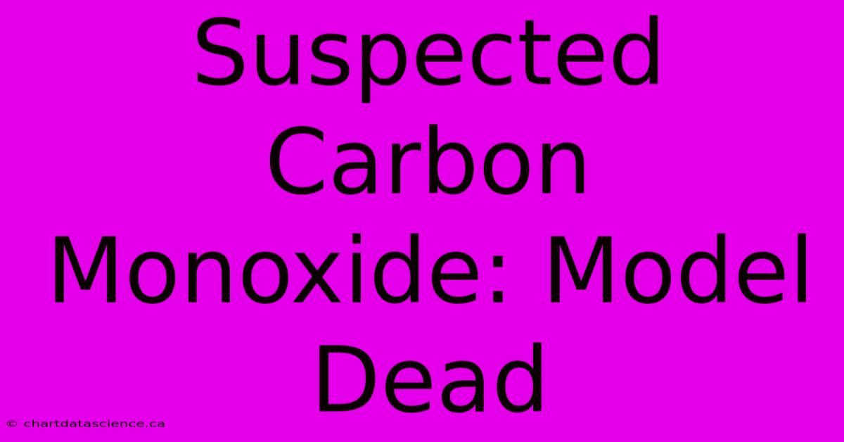 Suspected Carbon Monoxide: Model Dead