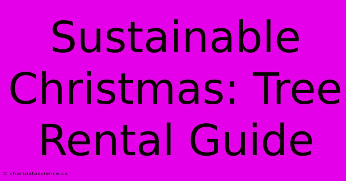 Sustainable Christmas: Tree Rental Guide