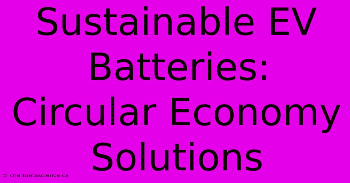 Sustainable EV Batteries: Circular Economy Solutions