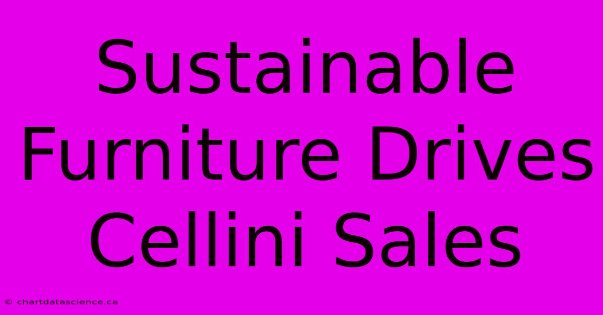 Sustainable Furniture Drives Cellini Sales