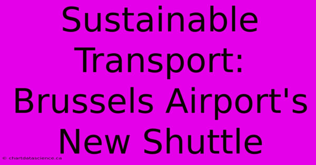 Sustainable Transport: Brussels Airport's New Shuttle