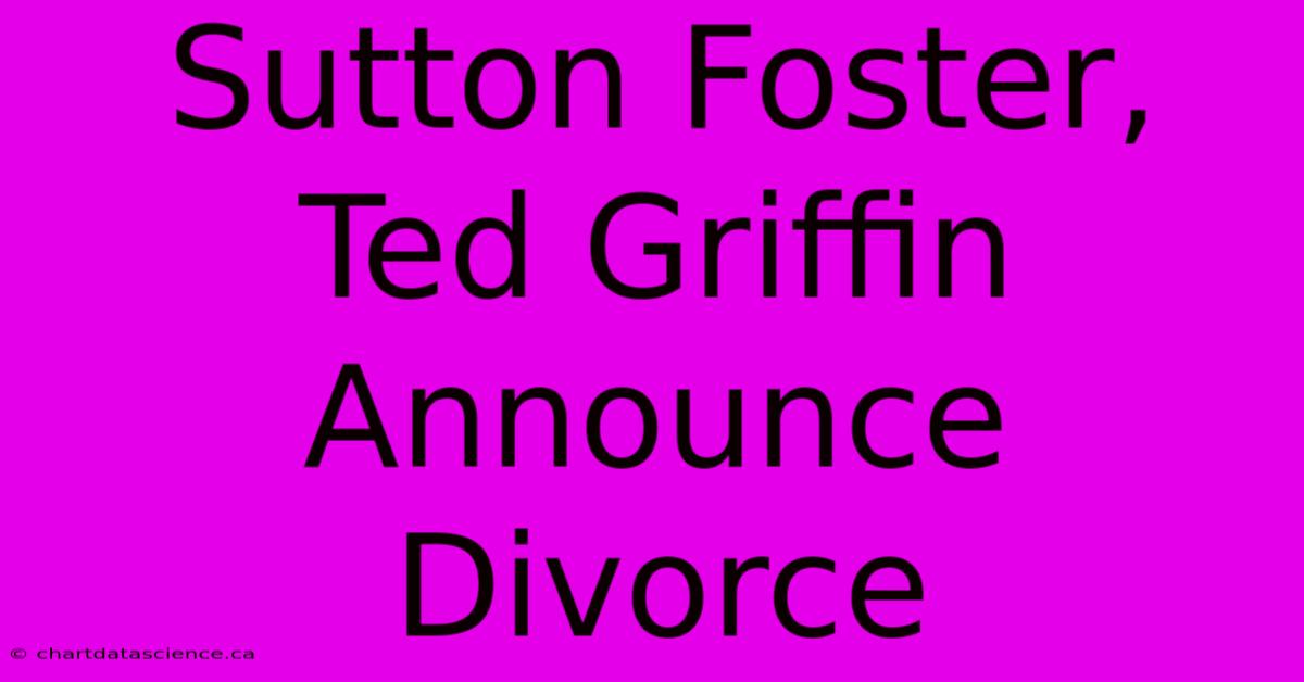 Sutton Foster, Ted Griffin Announce Divorce 