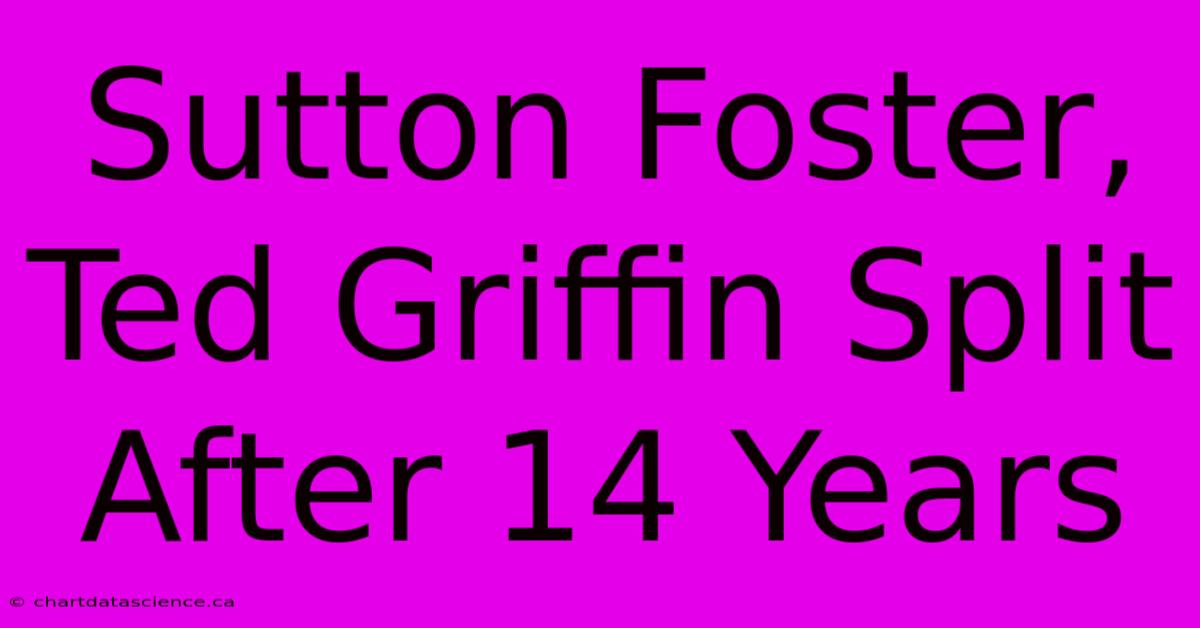 Sutton Foster, Ted Griffin Split After 14 Years