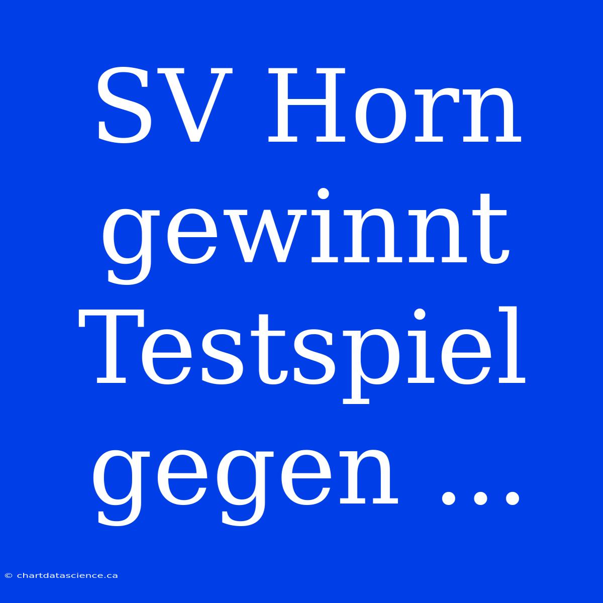 SV Horn Gewinnt Testspiel Gegen ...