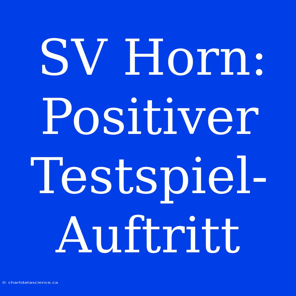 SV Horn: Positiver Testspiel-Auftritt