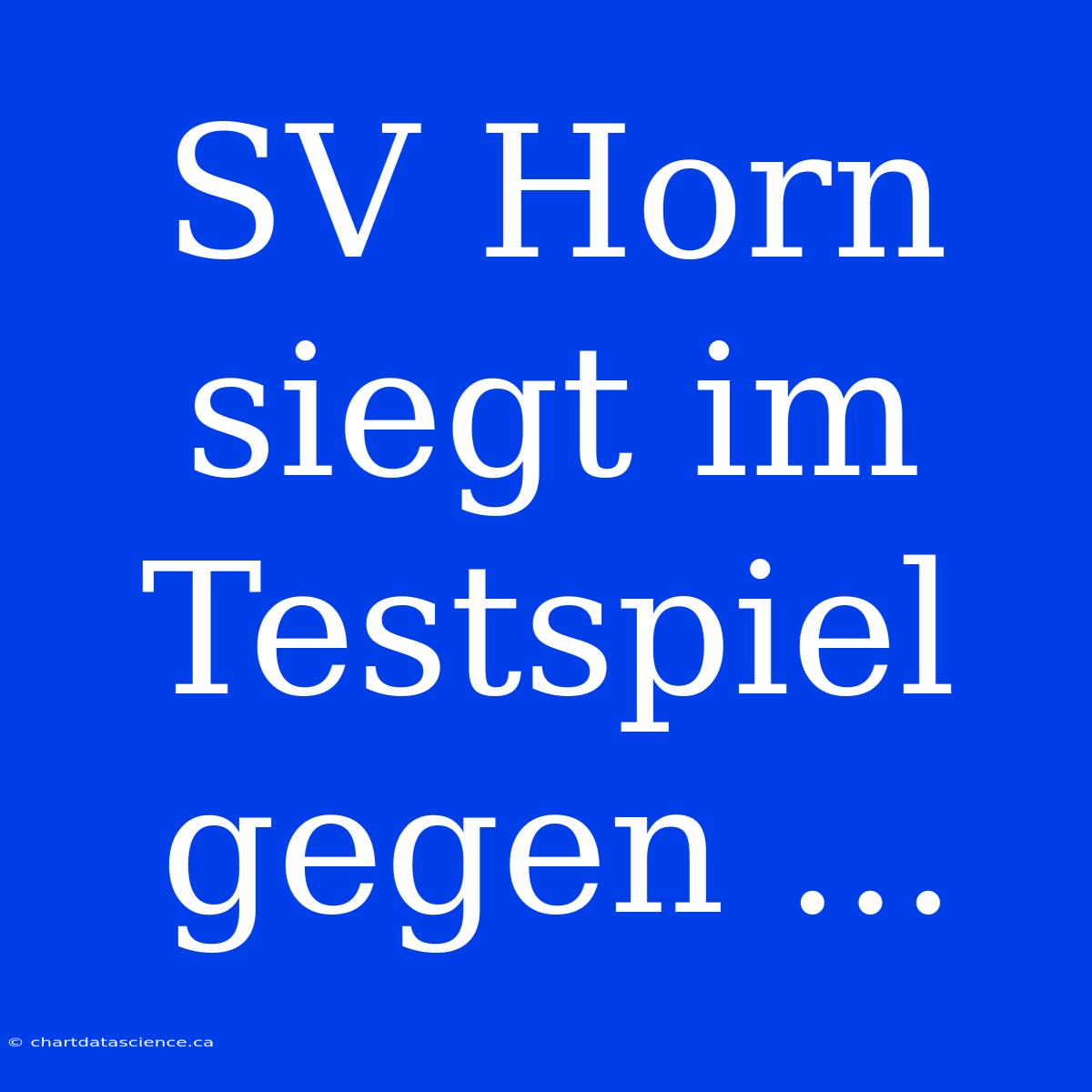 SV Horn Siegt Im Testspiel Gegen ...