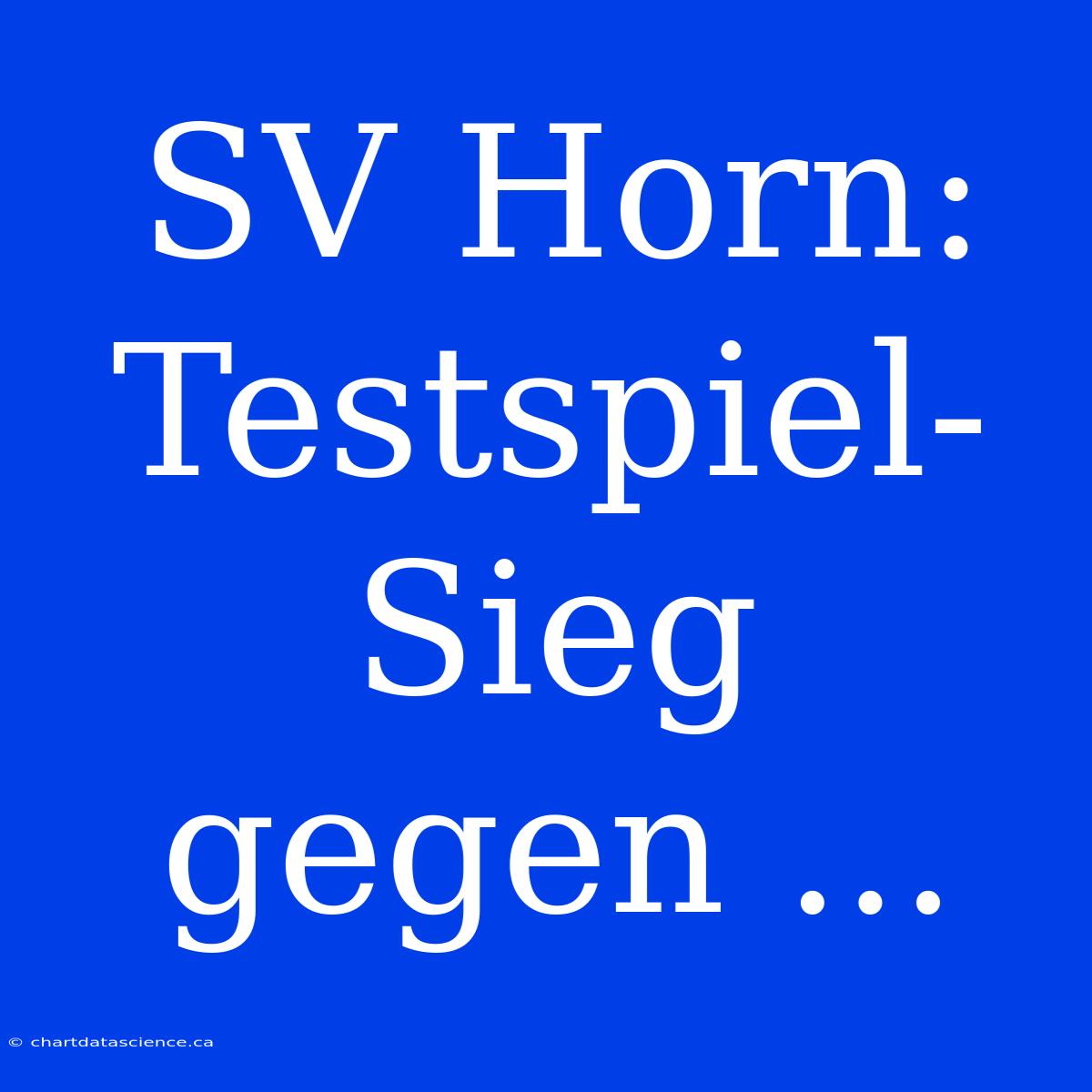 SV Horn: Testspiel-Sieg Gegen ...