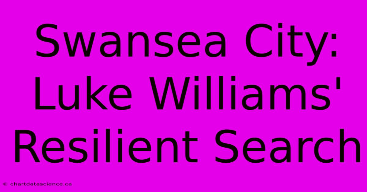 Swansea City: Luke Williams' Resilient Search