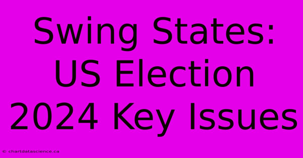 Swing States: US Election 2024 Key Issues