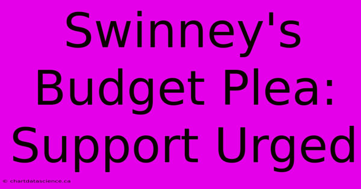 Swinney's Budget Plea: Support Urged