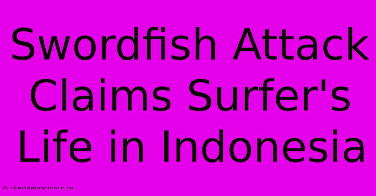 Swordfish Attack Claims Surfer's Life In Indonesia