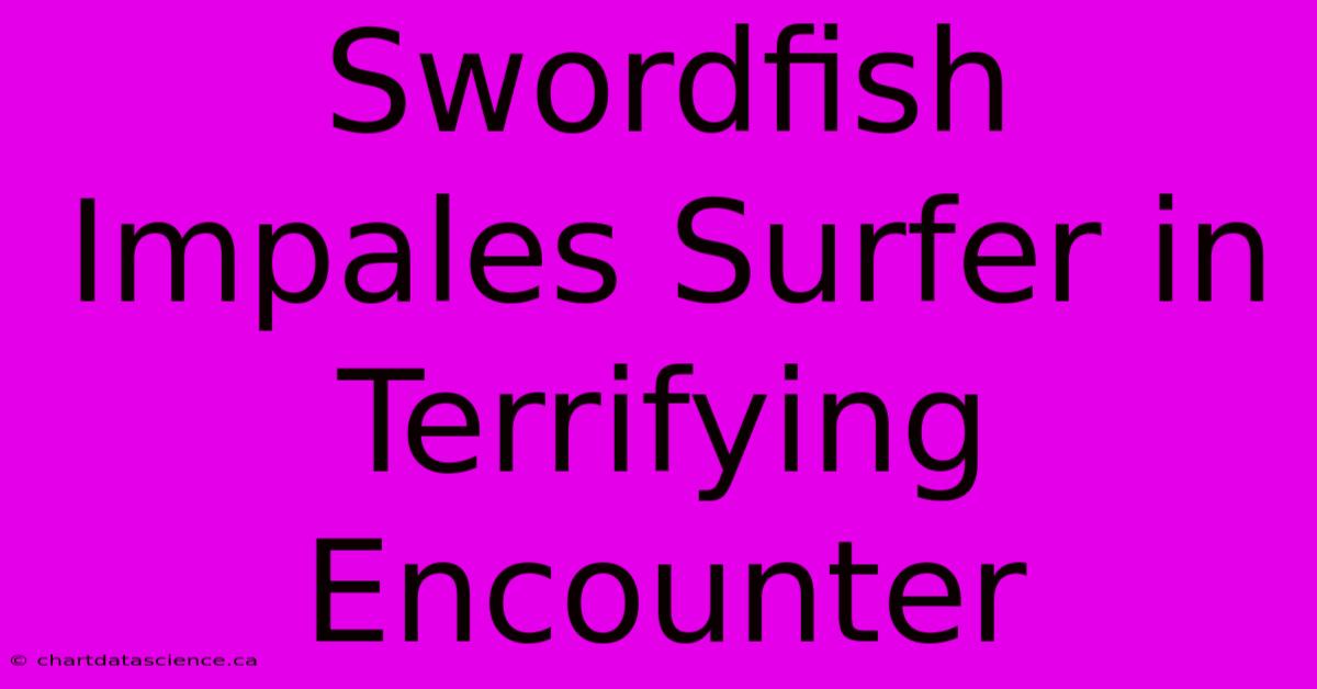 Swordfish Impales Surfer In Terrifying Encounter