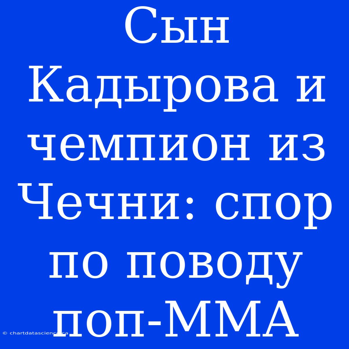 Сын Кадырова И Чемпион Из Чечни: Спор По Поводу Поп-MMA