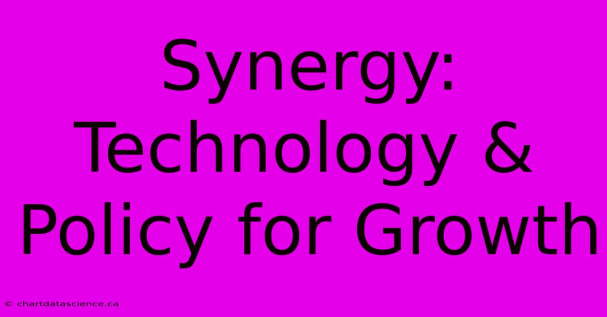 Synergy: Technology & Policy For Growth 