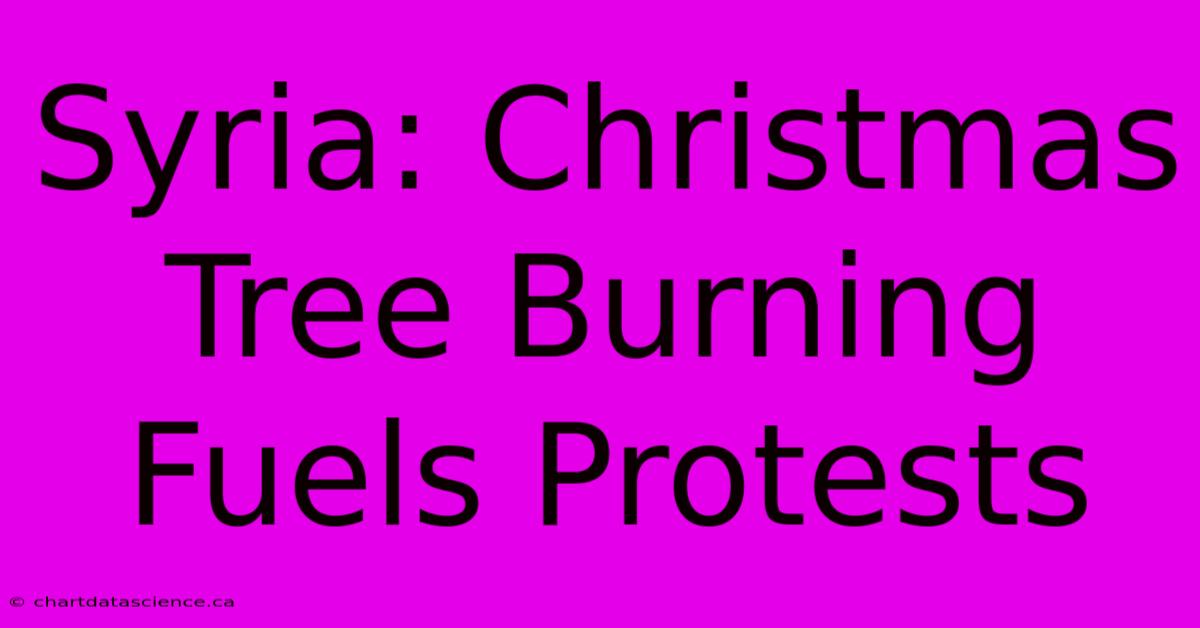 Syria: Christmas Tree Burning Fuels Protests