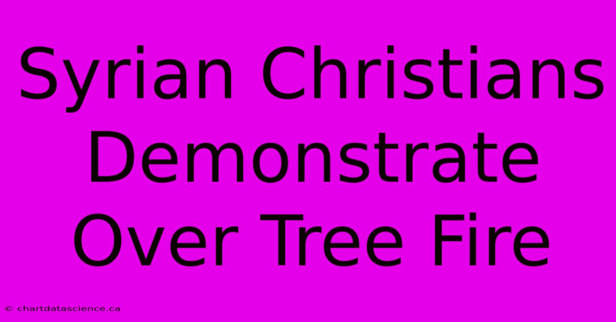 Syrian Christians Demonstrate Over Tree Fire