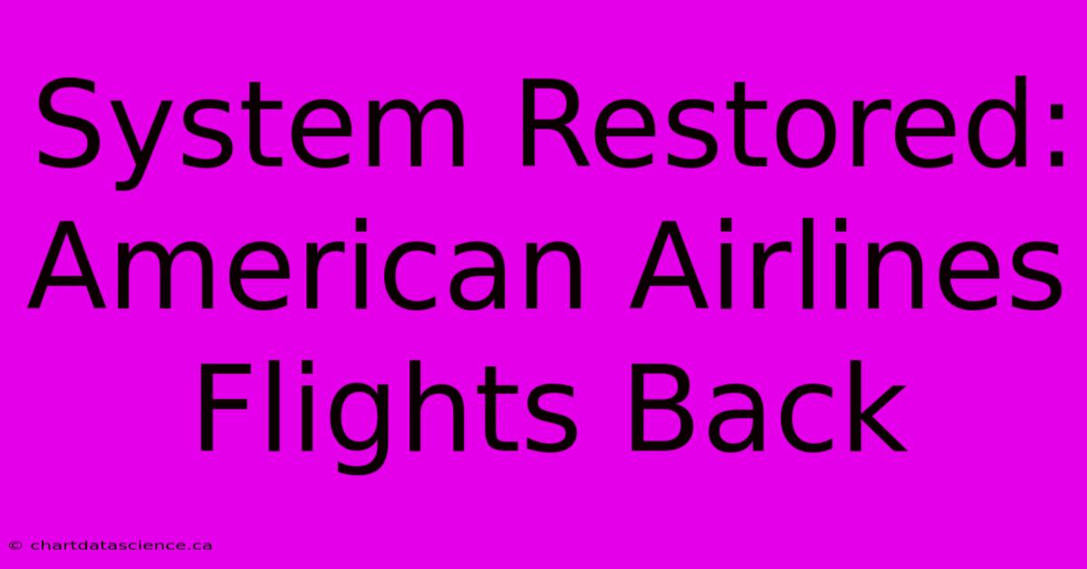 System Restored: American Airlines Flights Back