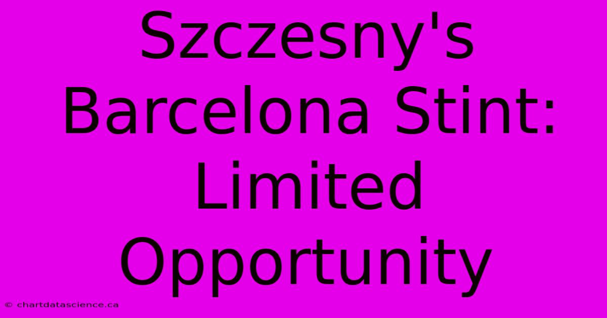 Szczesny's Barcelona Stint: Limited Opportunity 