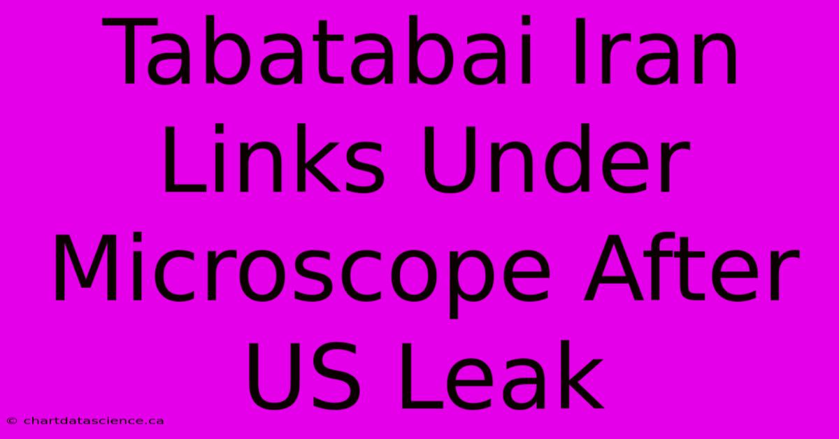 Tabatabai Iran Links Under Microscope After US Leak