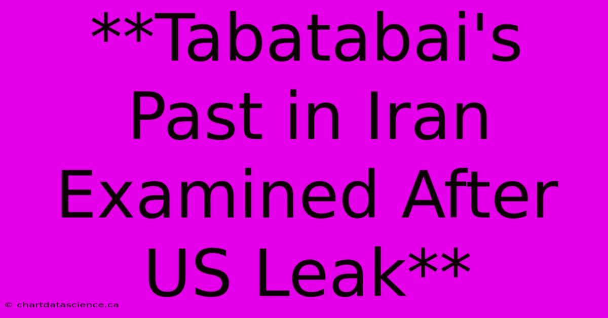 **Tabatabai's Past In Iran Examined After US Leak**