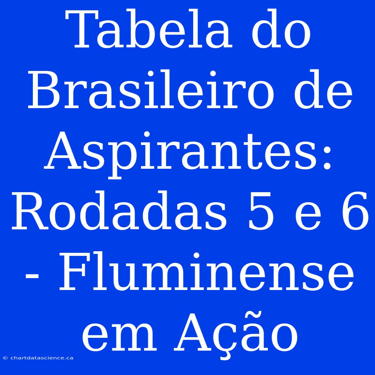 Tabela Do Brasileiro De Aspirantes: Rodadas 5 E 6 - Fluminense Em Ação