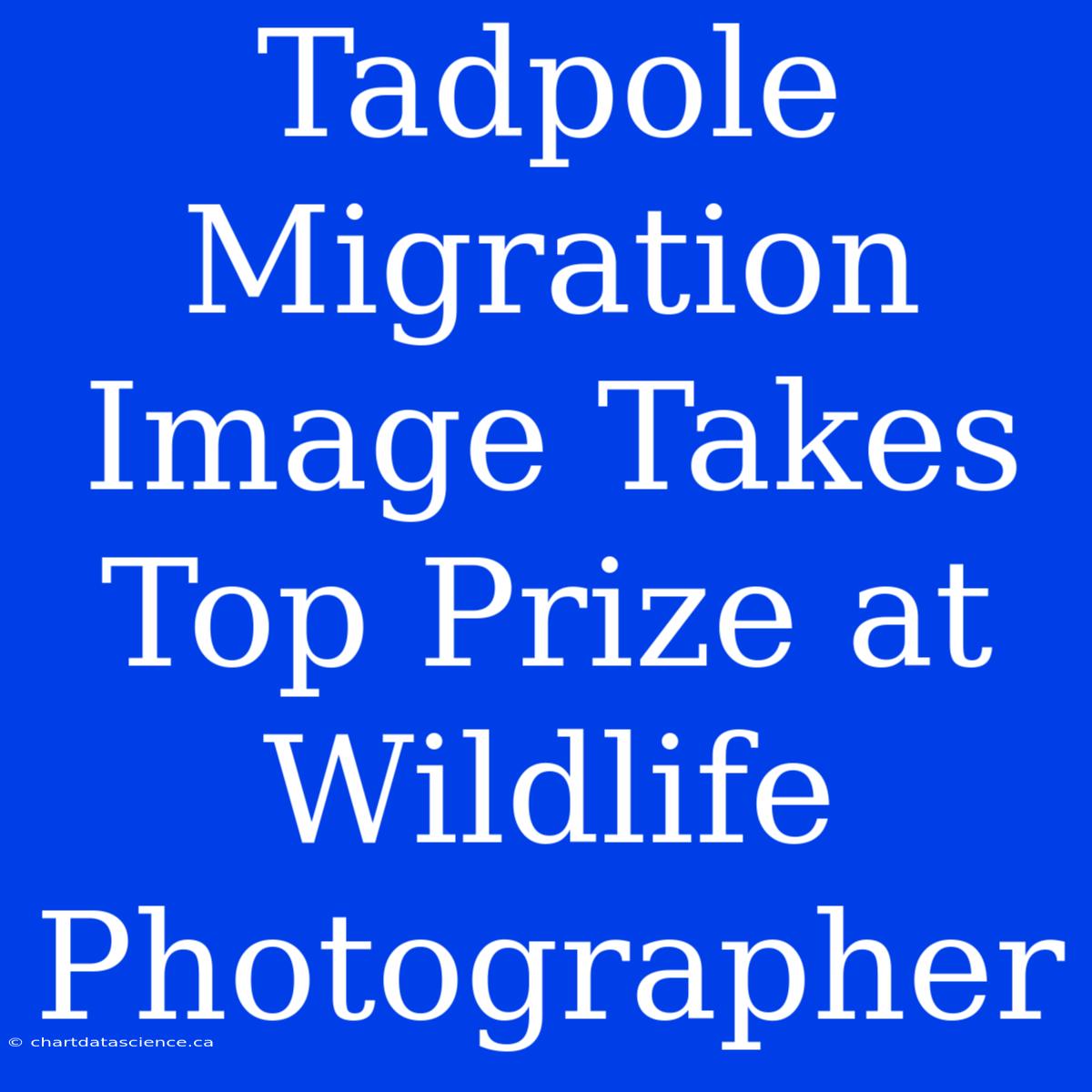 Tadpole Migration Image Takes Top Prize At Wildlife Photographer