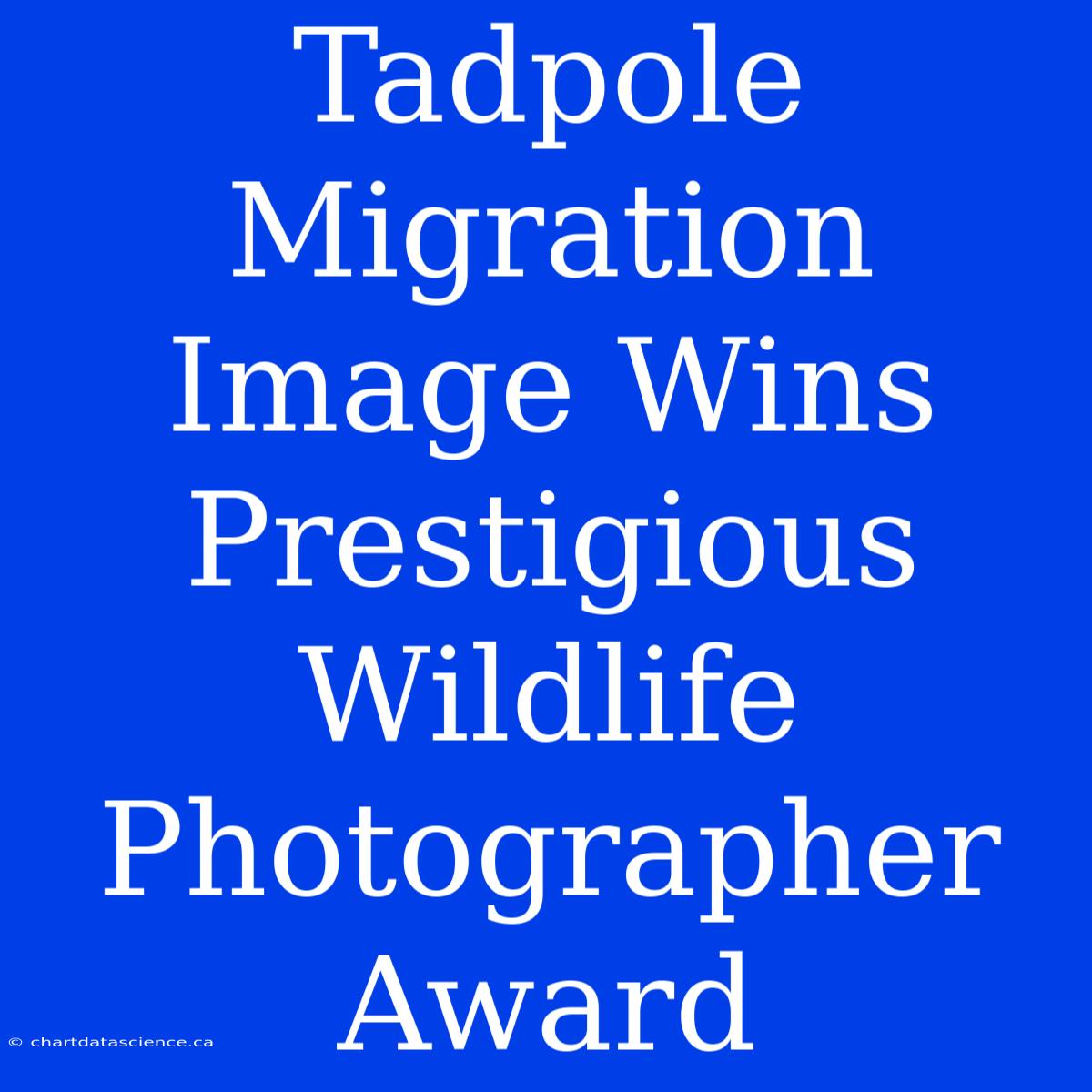 Tadpole Migration Image Wins Prestigious Wildlife Photographer Award