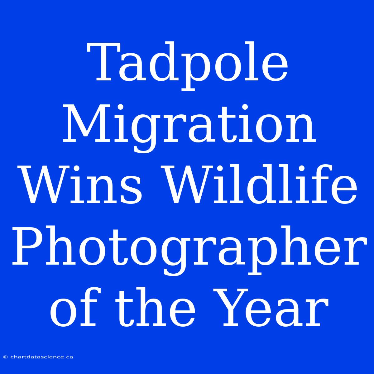 Tadpole Migration Wins Wildlife Photographer Of The Year