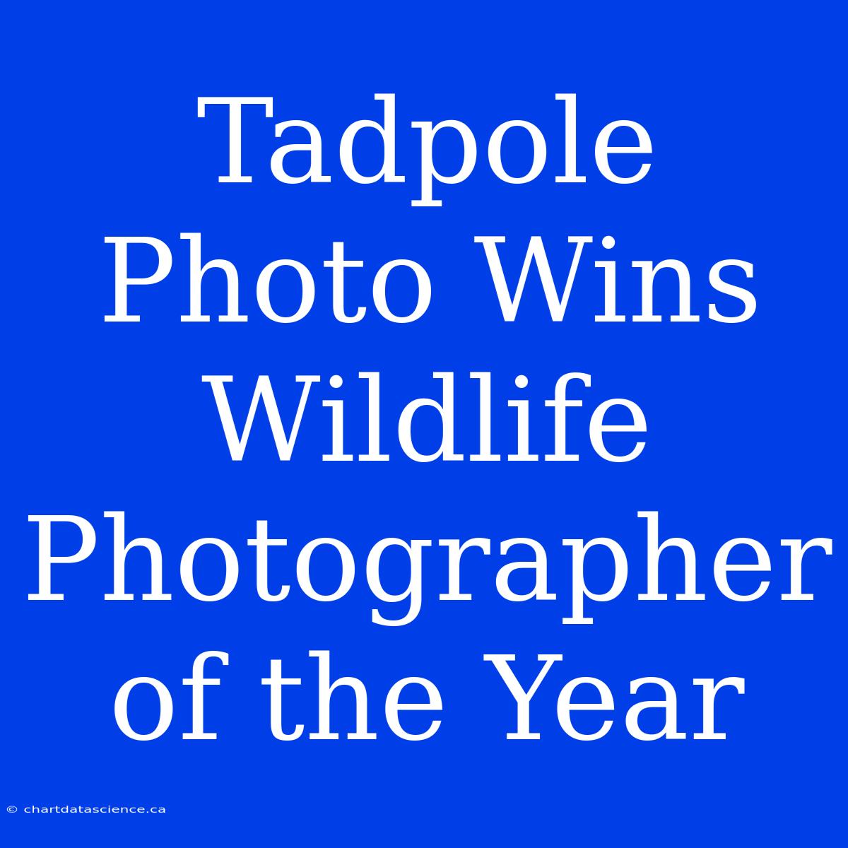 Tadpole Photo Wins Wildlife Photographer Of The Year