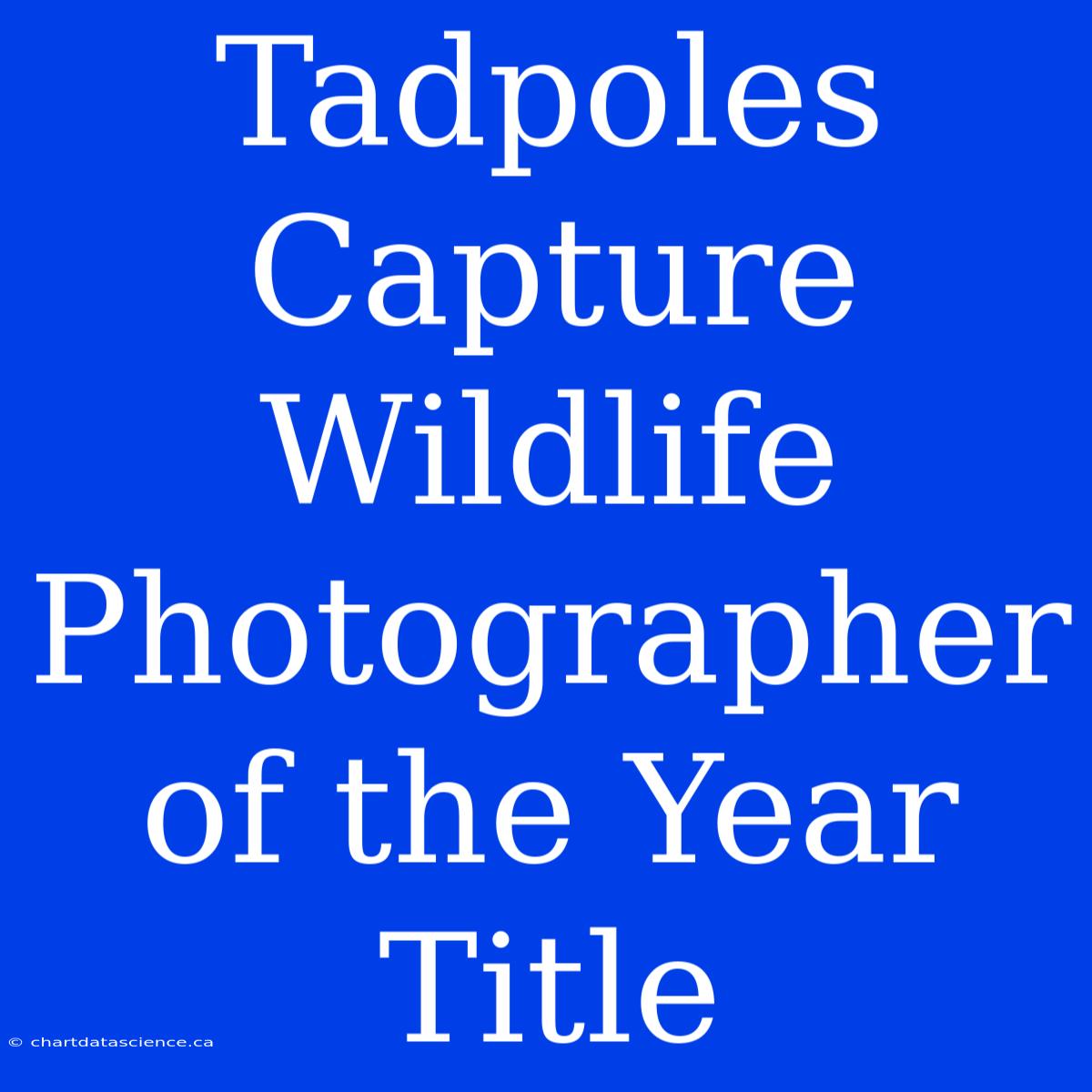 Tadpoles Capture Wildlife Photographer Of The Year Title