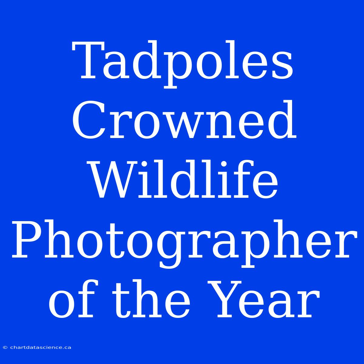 Tadpoles Crowned Wildlife Photographer Of The Year