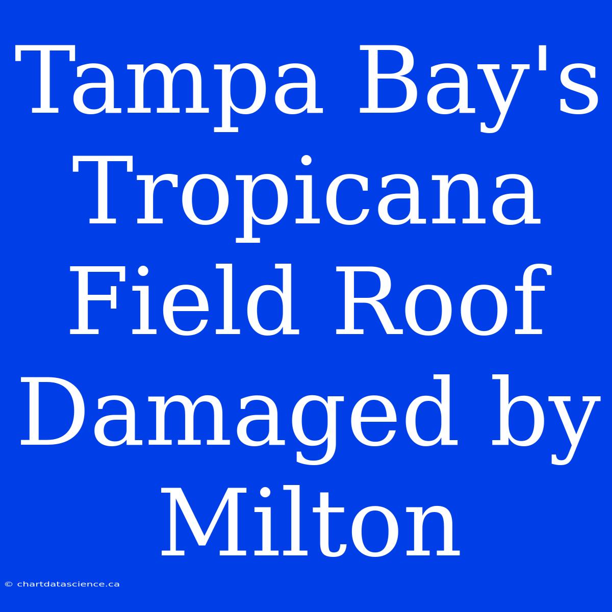 Tampa Bay's Tropicana Field Roof Damaged By Milton