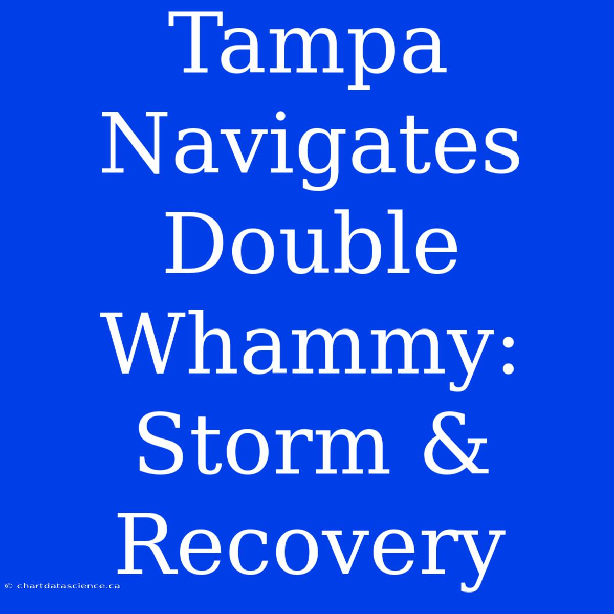 Tampa Navigates Double Whammy: Storm & Recovery