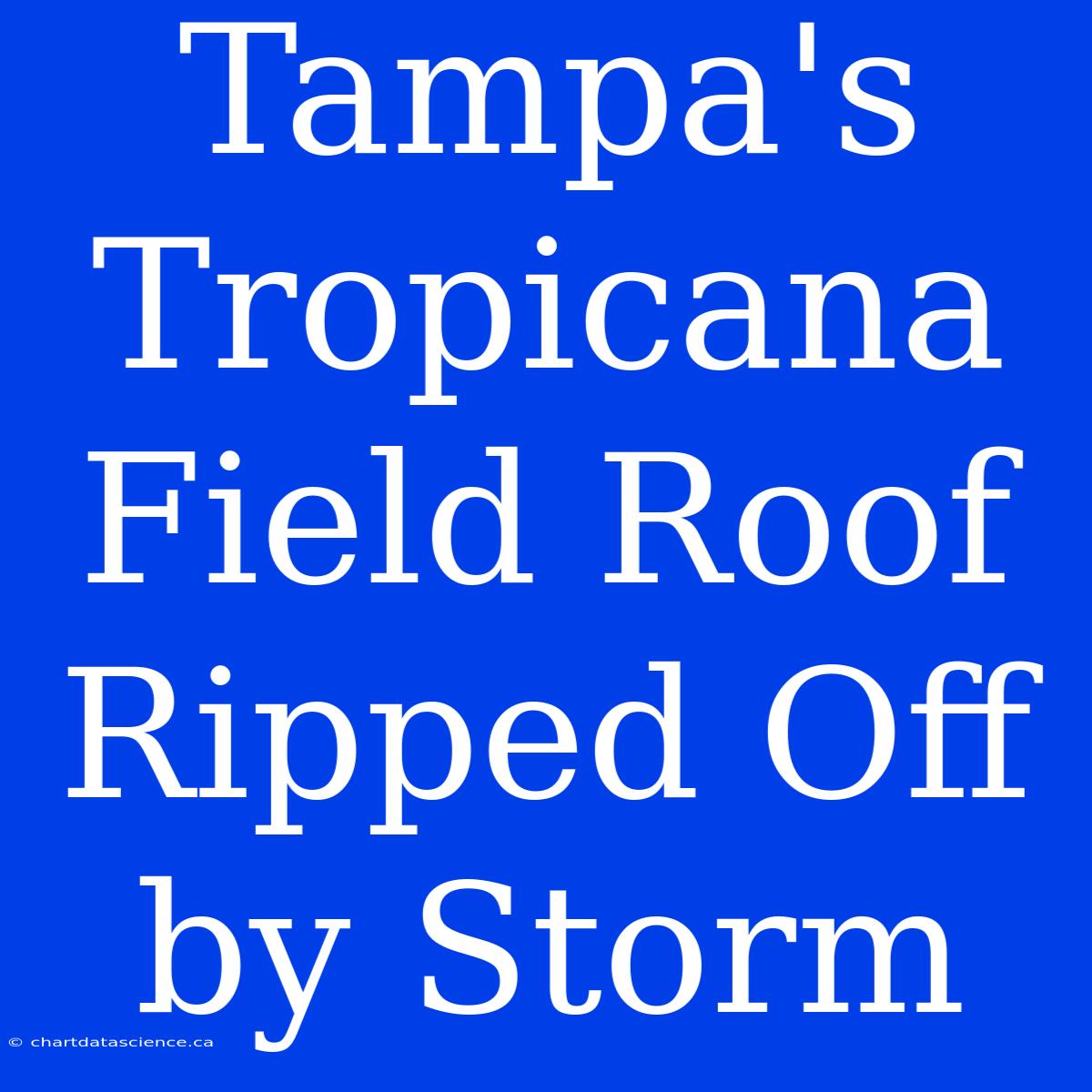 Tampa's Tropicana Field Roof Ripped Off By Storm