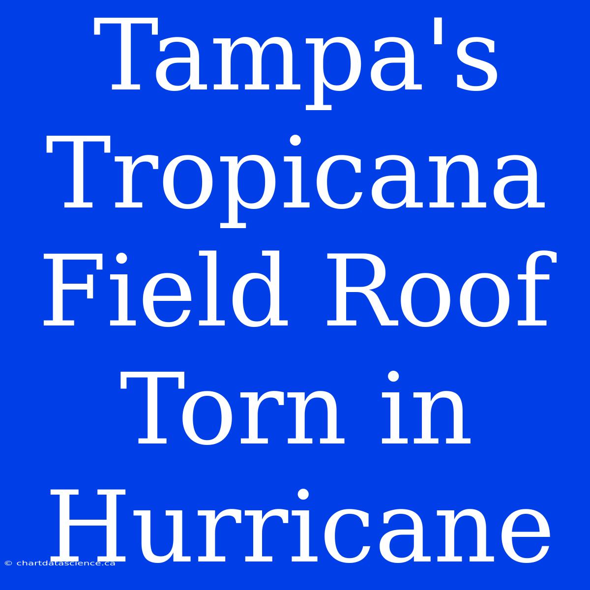 Tampa's Tropicana Field Roof Torn In Hurricane