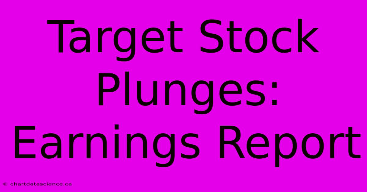 Target Stock Plunges: Earnings Report