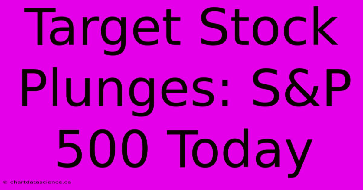 Target Stock Plunges: S&P 500 Today