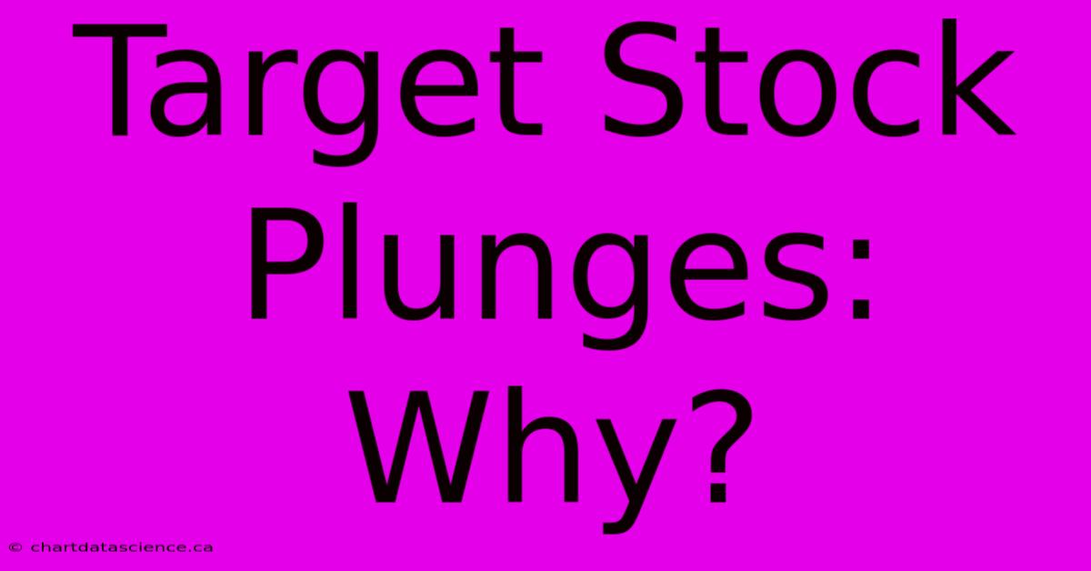 Target Stock Plunges: Why?