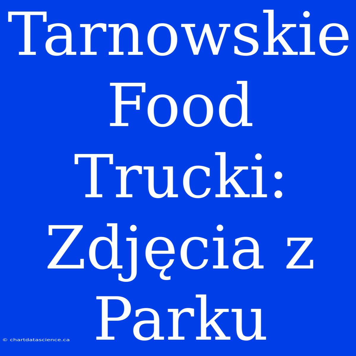 Tarnowskie Food Trucki: Zdjęcia Z Parku